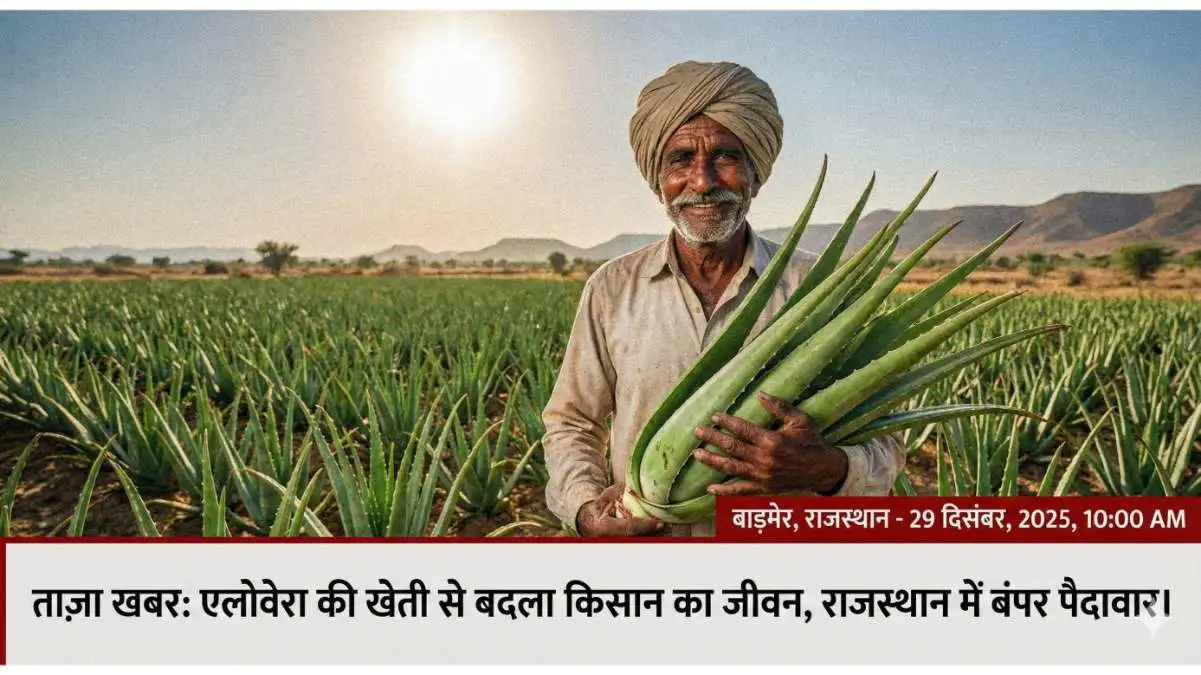 Business Idea: खाली जमीन से कमाएं लाखों! कम मेहनत में शुरू करें ये धांसू बिज़नेस